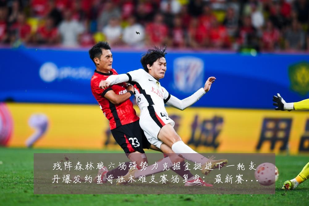 残阵森林狼六场强势力克掘金挺进下一轮麦丹爆发约基奇独木难支赛场复盘:最新赛事动态与深度分析